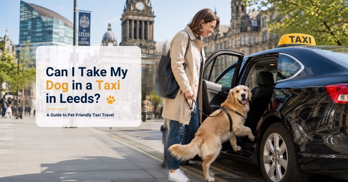 Woman helping her dog into a taxi in Leeds city centre, showing pet-friendly taxi travel in Leeds.